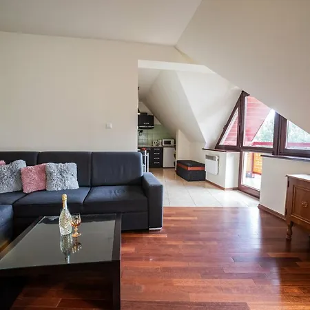 Apartserwis - Apartament Paryski Apartment