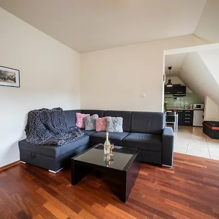 Apartserwis - Apartament Paryski Apartment