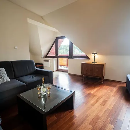 Apartserwis - Paryski Апартаменты Закопане